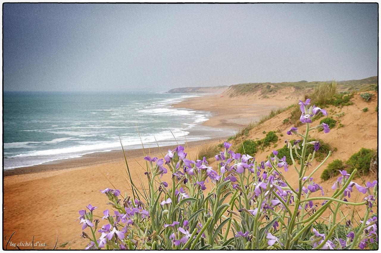 Villa Des Loups De Mer Talmont-Saint-Hilaire Esterno foto